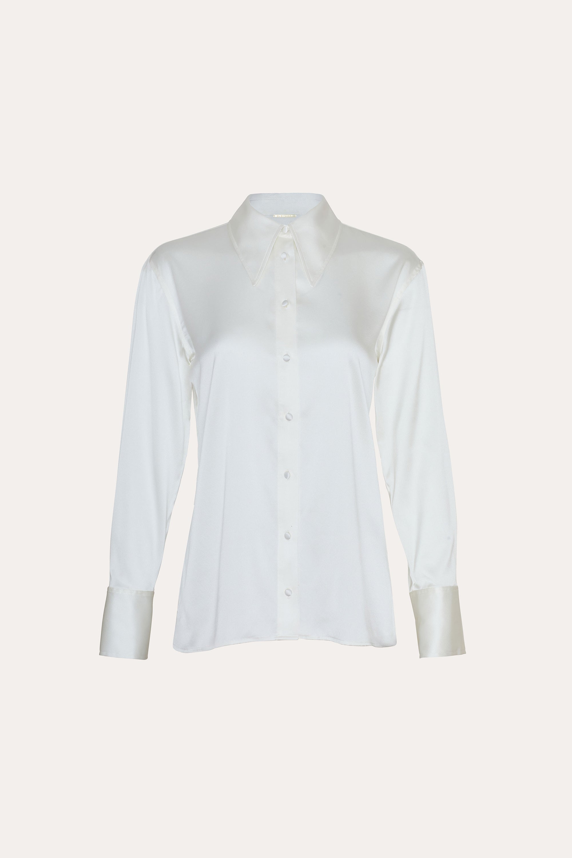 Silk Button Down Shirt
